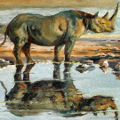 Thumb Spitzmaulnashorn in der D�mmerung